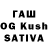 Псилоцибиновые грибы Magic Shrooms Prasanna Kularathna