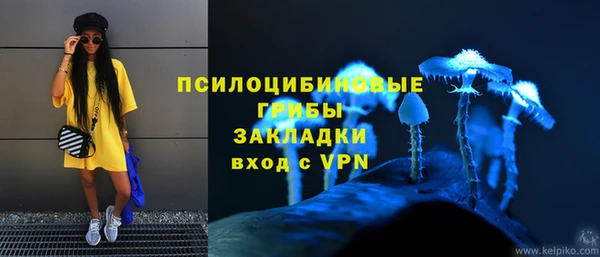 амф Абинск