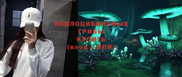 амф Абинск