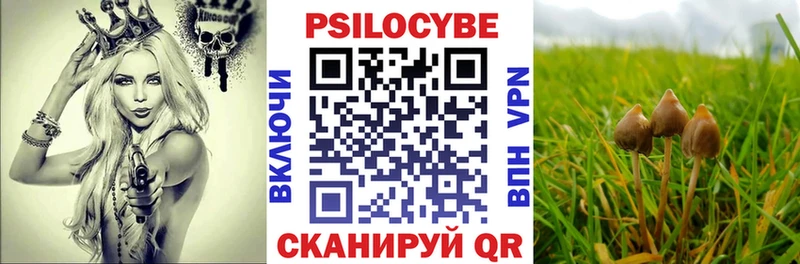 Псилоцибиновые грибы мухоморы  Томилино 